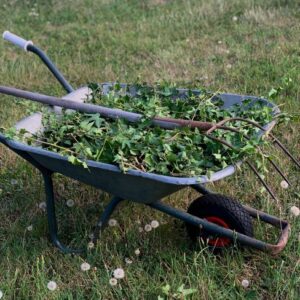 Limpieza Profunda de Jardín